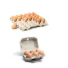 30 cells waste recycle paper egg tray egg carton production line