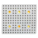 3000w COB Led Grow Light full spectrum uv ir growlights greenhouse hydroponics strawberry lighting