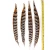 Import 35-40CM Hot selling Feather Wholesale Natural Reeves Pheasant Tail Feathers for hat, pen,DIY accessories and Indian costumes from China