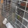 3.5mm Wire Diameter Rabbit/Quail/Pigeon Wire Mesh Cage