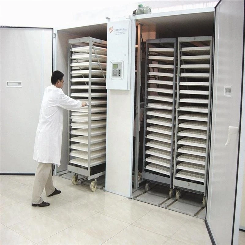 40000 eggs automatic egg incubator for poultry