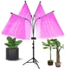 40W Full Spectrum Remote Control Led 4 Head Divided Adjustable Goose Neck Tripod Stand Plant Grow Light for Indoor Plants