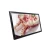 Import 43" Wall Mount Android Digital Advertising Equipment from China