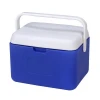 5L Mini Portable Plastic Fish Ice Cool Box Frozen Cooler Box For Camping Picnic BBQ