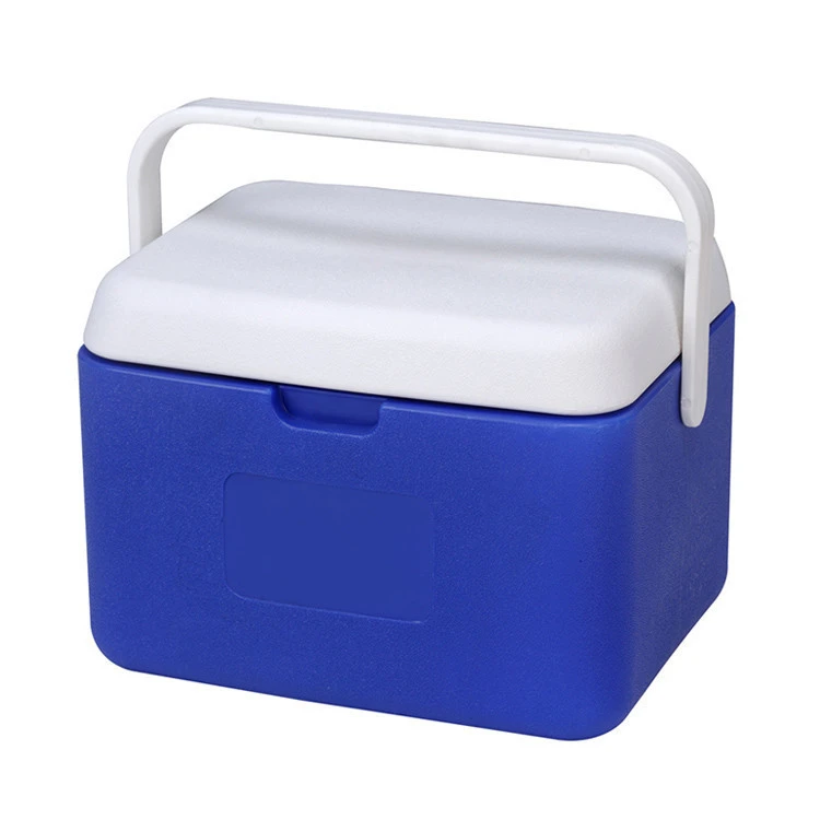 Buy 5l Mini Portable Plastic Fish Ice Cool Box Frozen Cooler Box