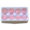 8 pieces/box Carnation Flower Fresh Cut 4-5cm  Preserved Flowers of Resup