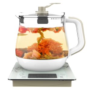800w electric water kettle multi functional 1.5l glass health pot