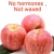 Import 80mm   fresh natural fuji apples from China