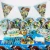 Import 9 item set kids birthday theme party supplies set party decorations from China