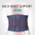 Import Adjustable Waist Support Belt 2 Springs+4 Steel Stays Spine Back Support Double Pull Corset Orthopedic Lumbar Brace from China