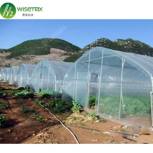 Agricultural Greenhouse Plastic Film/UV Resistant Plastic 200 Micron Greenhouse Film