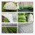 Import Agro Spunbond Covering Material for Plants Landcover Mulch Film from China
