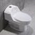 Import Amaze Ceramic Porcelain America sanitarios inodoro sanitary ware siphonic one piece bathroom wc toilet bowl from China