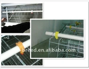Animal Drinkers are used for breeding layer/broiler chicken
