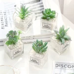 Artificial plant mini potted ornaments Creative stone glass bottle green plant desktop decorative potted plants