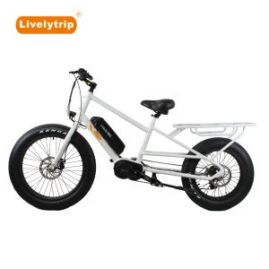 Bafang Ultra 1000W mid drive motor fat tire electric cargo delivery bike food cart