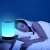 Import Bedside Touch Lamp Touch Sensor Table Lamp LED Smart Atmosphere Mood Night Light + USB Rechargeable Dimmable Night Lamp from China