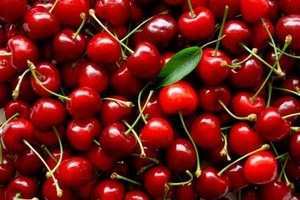 Best Dried cherry