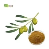 Best price Natural Organic Olive Leaf Extract 98% Oleanolic Acid with Fast Delivery