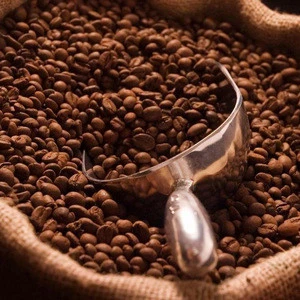 Best Quality Coffee beans Coffea Arabica