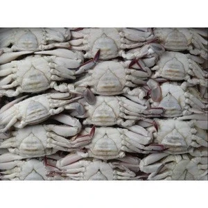 Best Quality of  Frozen Crab
