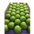 Import Best Quality Sweet Fresh Delicious Green Apples Grade A - Wholesale/Bulk from USA