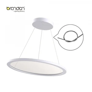 Best Selling Suspended Mounted Round Led Pane Light flat  Details