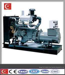 biogas electric generator 250kw /natural gas /LPG gas generator