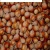 Import Blanched / Roasted Hazelnuts / Toasted / from Canada