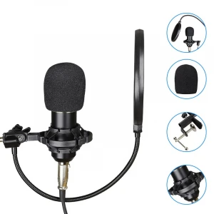 BM-800 new design condenser wired microphone from China
