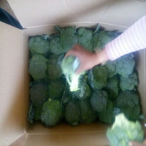 Bulk Broccoli From India