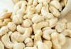 Bulk Cashew Nut