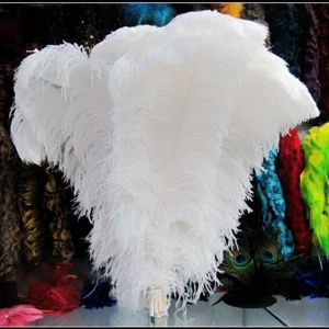 Buy Feathers from China Artificial Feathers Cheap Ostrich Feathers