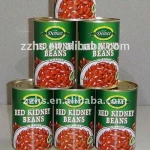 Canned Red Kidney Beans in Tomato Sauce Canned Beans