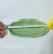 Import Quality Ceramic Banana Leaf Plates for Sushi from China