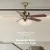 Import chandelier fan ceiling fan light Luxury European Iron Decorative Electrical Led ceiling fan Lights Zipper from China