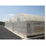 Cheap plastic covering for greenhouse