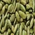 Import Cheap price Green Cardamom/Fresh Indian Cardamom available from USA