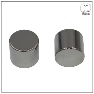 China Manufacturer Promotional Electro Rare Earth Magnet