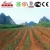 China Supplier Drip Irrigation Pipes and Fittings for Agricultural and Garden