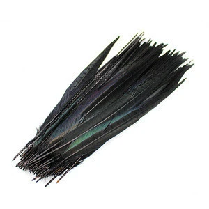Chinese Black and White 50-55cm Ringneck Pheasant Feathers