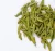 Import Chinese famous high quality green tea from China