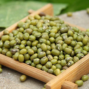 Chinese fresh organic bulk green mung bean for supermarket