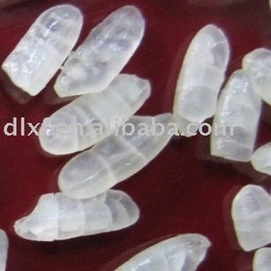 chinese glutinous steamed white rice for food for additive