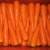 Import Chinese red fresh carrot price/ dried carrot from China