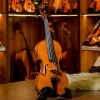 CHRISTINA EU4000A European Handmade Violin Original Imported Professional Level Playing Class With Gift String Bow