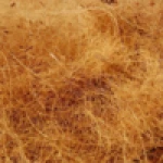 COCONUT FIBER / COCONUT SHELL FIBER/ COIR FIBER