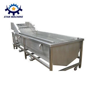Commercial ozone fruit and vegetable washer for sale