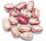 Black Beans, Speckled Kidney Beans, Cranberry Beans, Pinto Beans