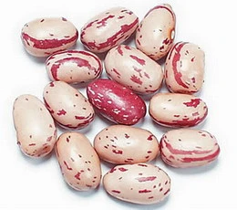 Black Beans, Speckled Kidney Beans, Cranberry Beans, Pinto Beans